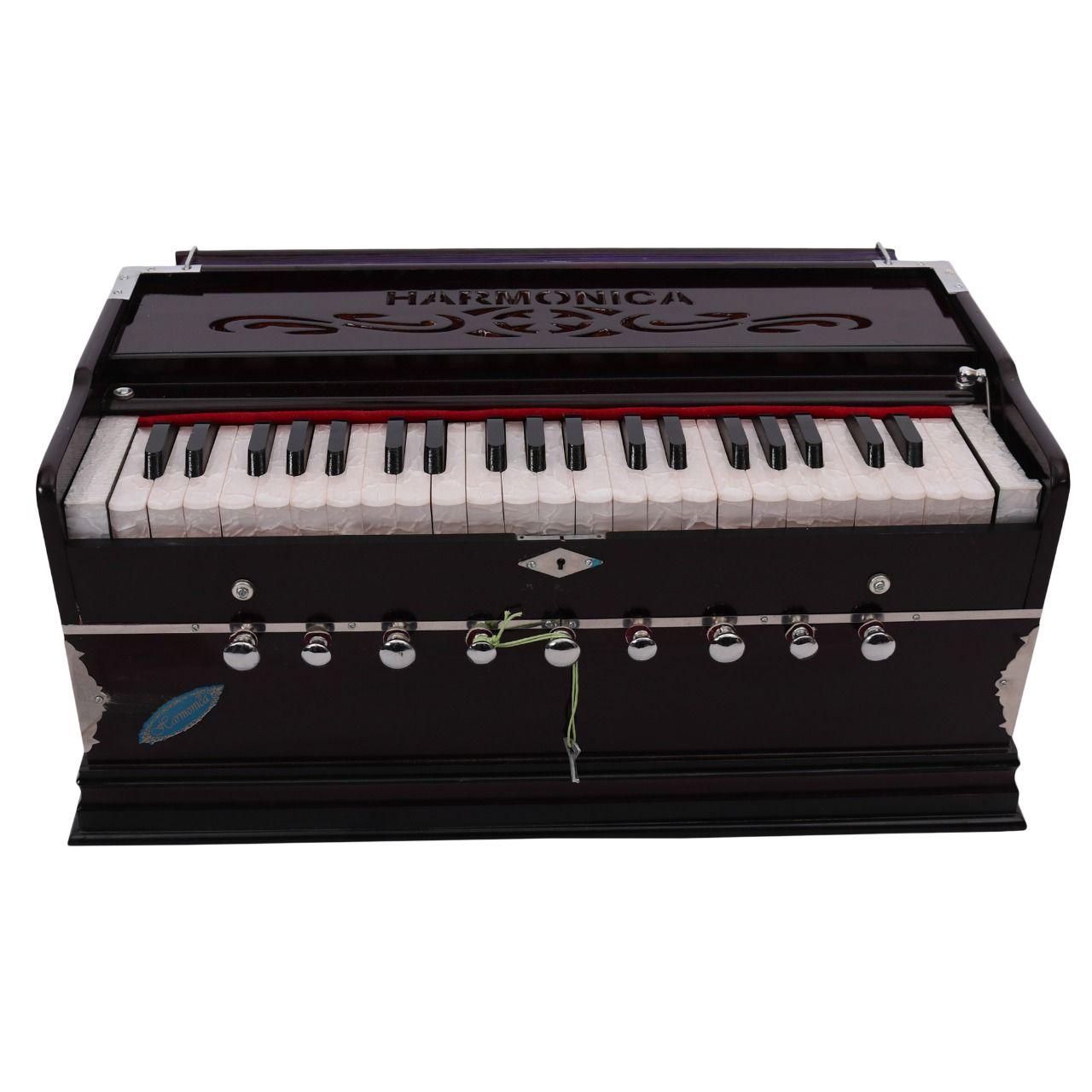 Delhi best traditional musical instruments by Harmonica India Issuu