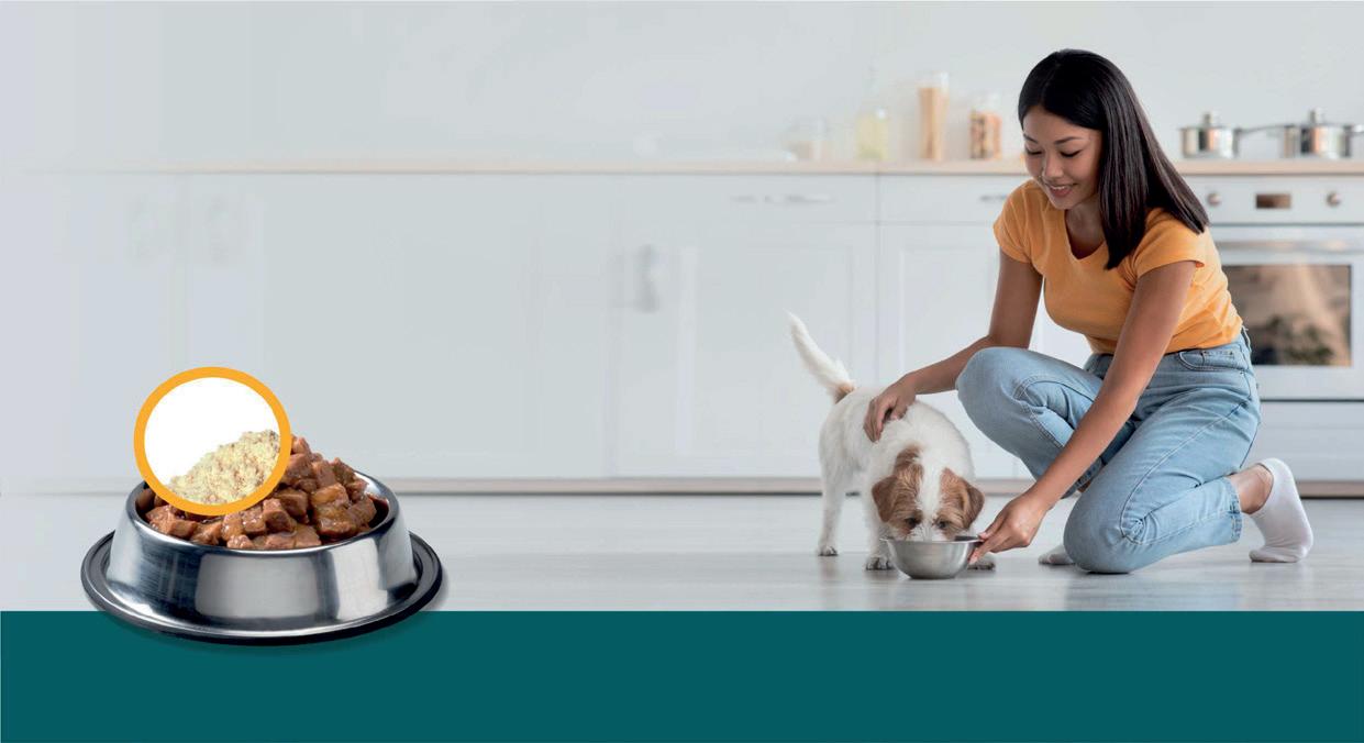 All Pet Food Magazine N°15 Español by All Pet Food Issuu