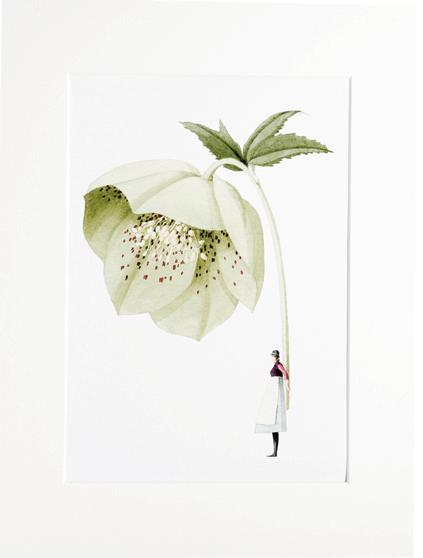 Laura Stoddart Catalogue Spring - Summer 2023 by Laura