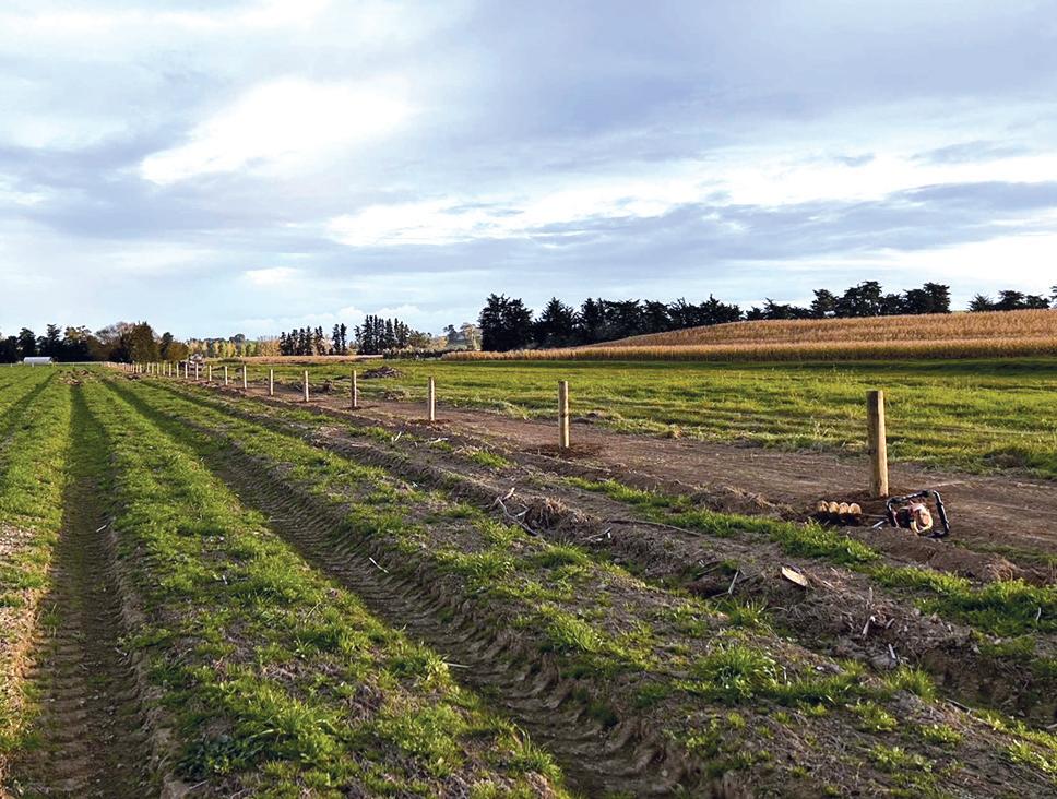 GNews 27.04.2023 by gnews3 Issuu