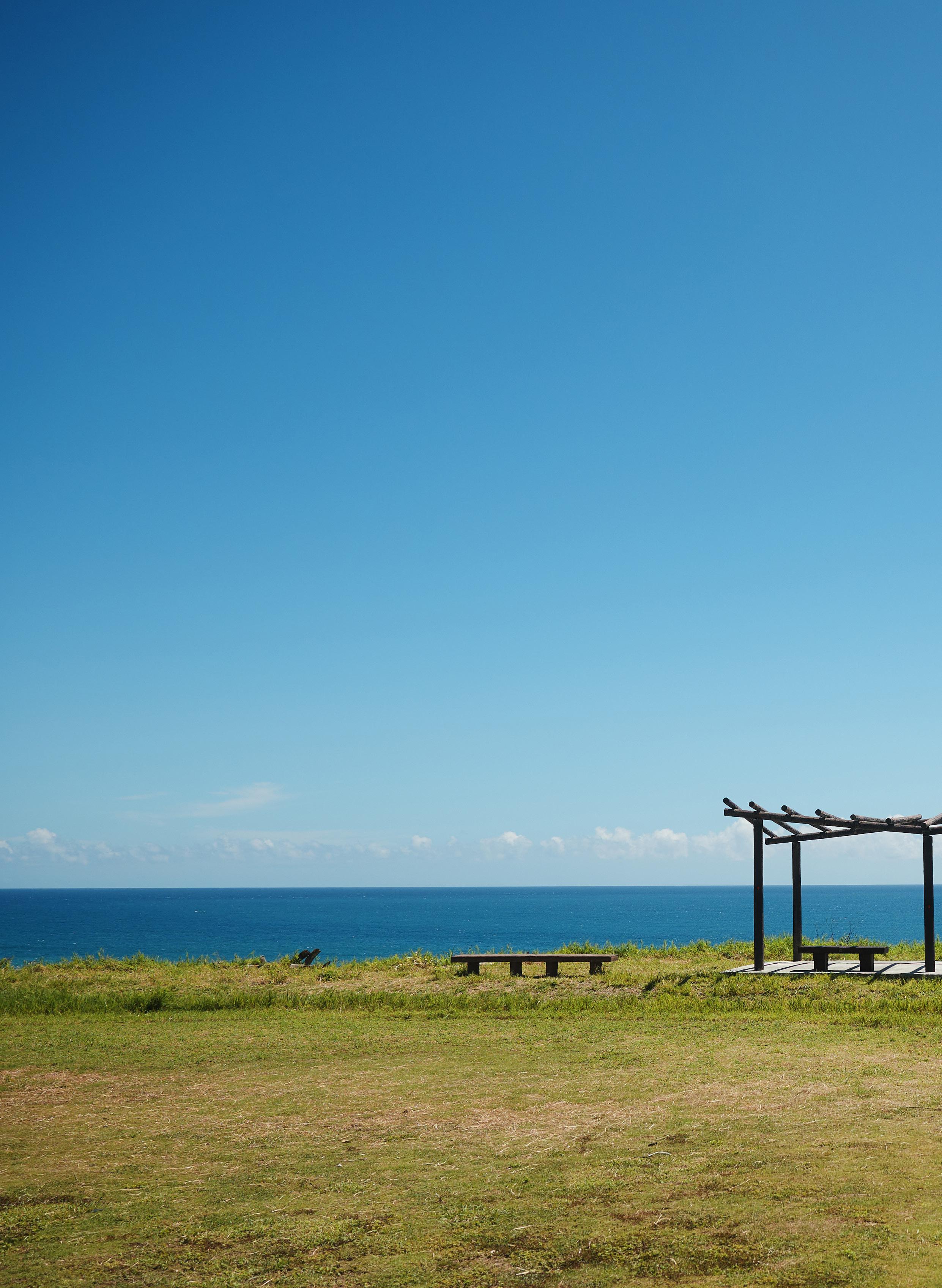 Cover for A Day in the Life