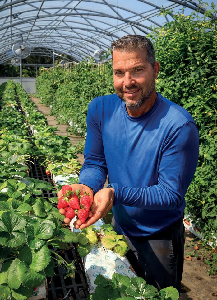 Cover for the great outdoors GoingGreen Farming in the Family