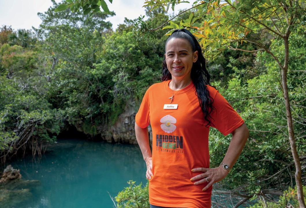 Cover for Hidden gems uncovered