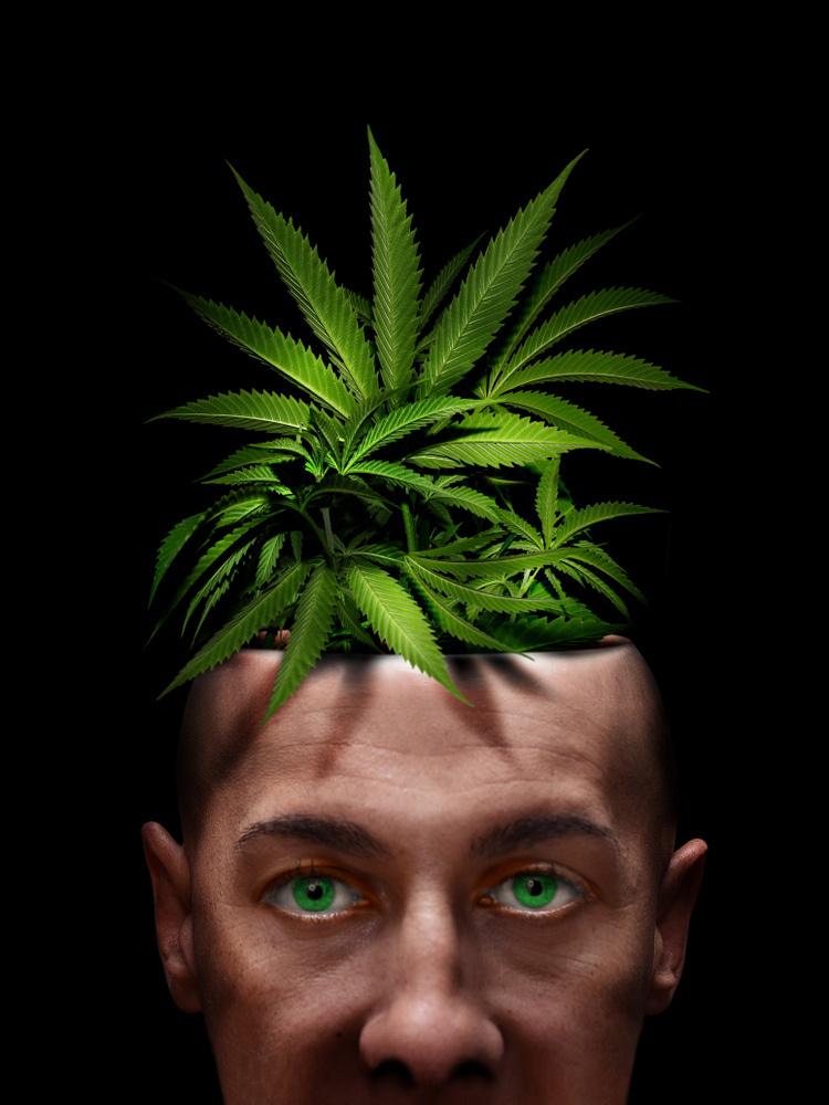 Does Weed Kill Brain Cells? by WeedSociety Issuu