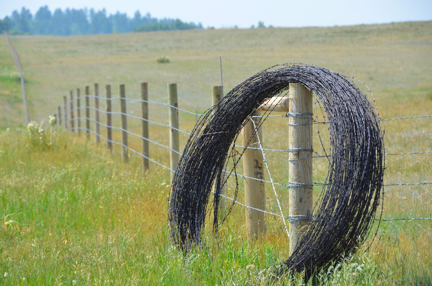 Expert Wire Fencing Installation Service for Your Property by Shire