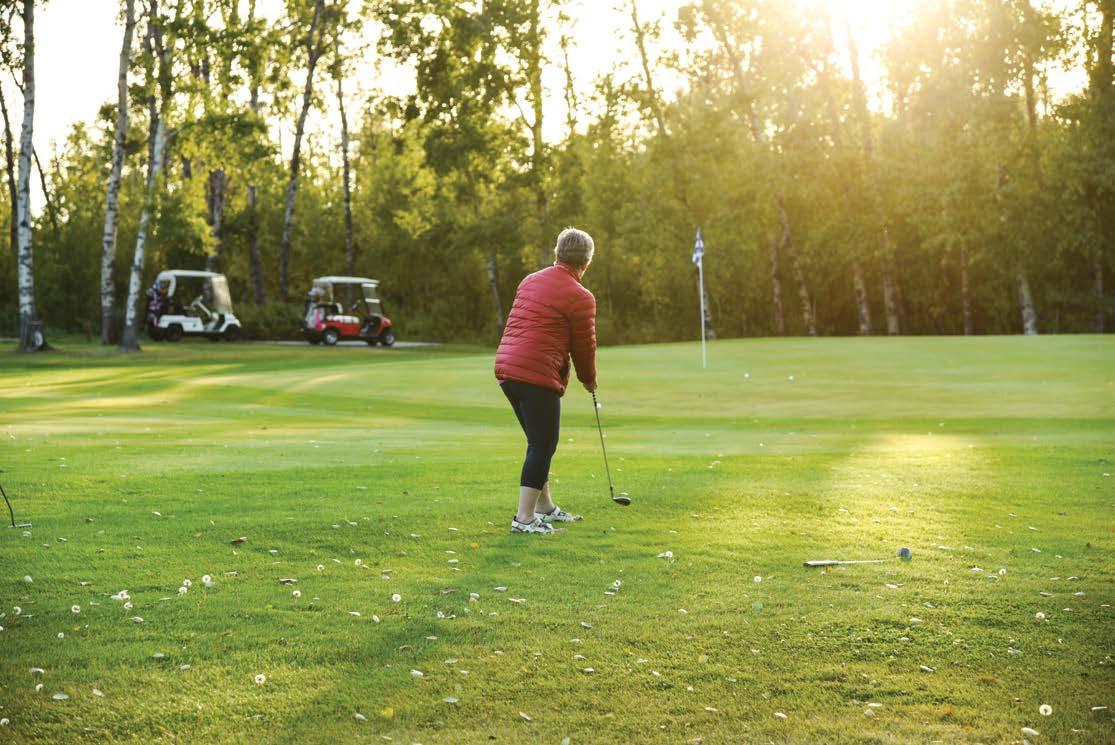 2023 Fairview Visitor Guide by townoffairview Issuu