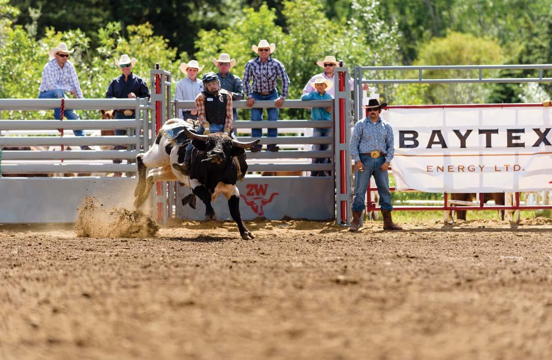 2023 Fairview Visitor Guide by townoffairview Issuu