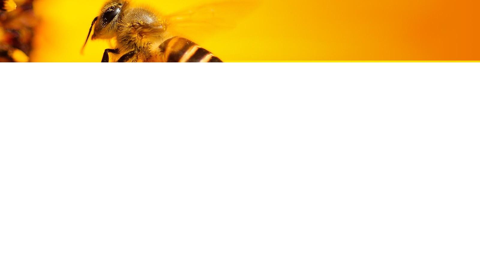 HP Printer Alignment Failed How to Align Your Printer Properly by