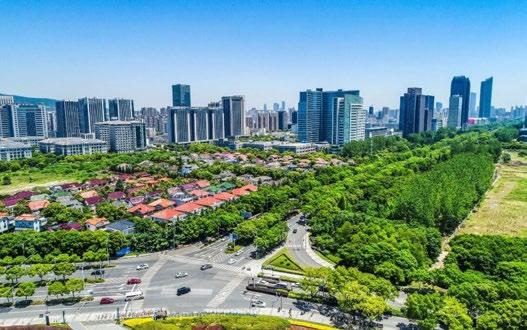 Cover for La riforestazione delle città per la salute e la resilienza