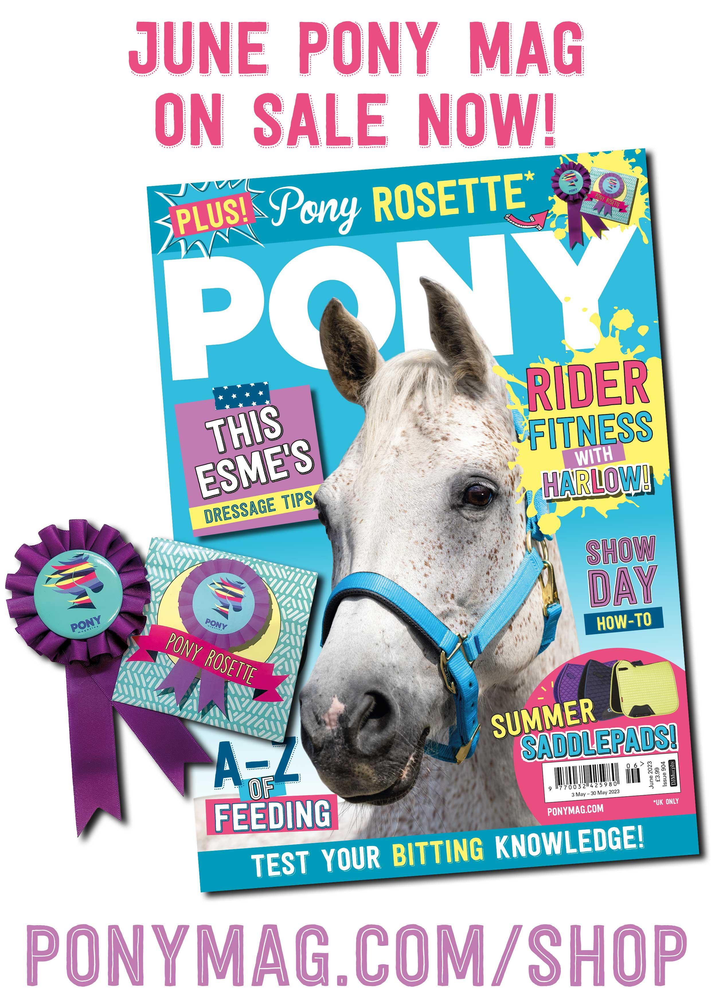 PONY Magazine June 2023 by DJ Murphy (Publishers) Ltd Issuu