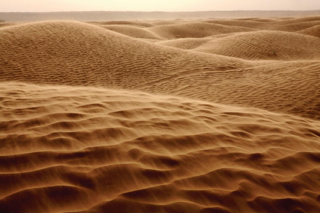 Dunes Server Codes March 2022