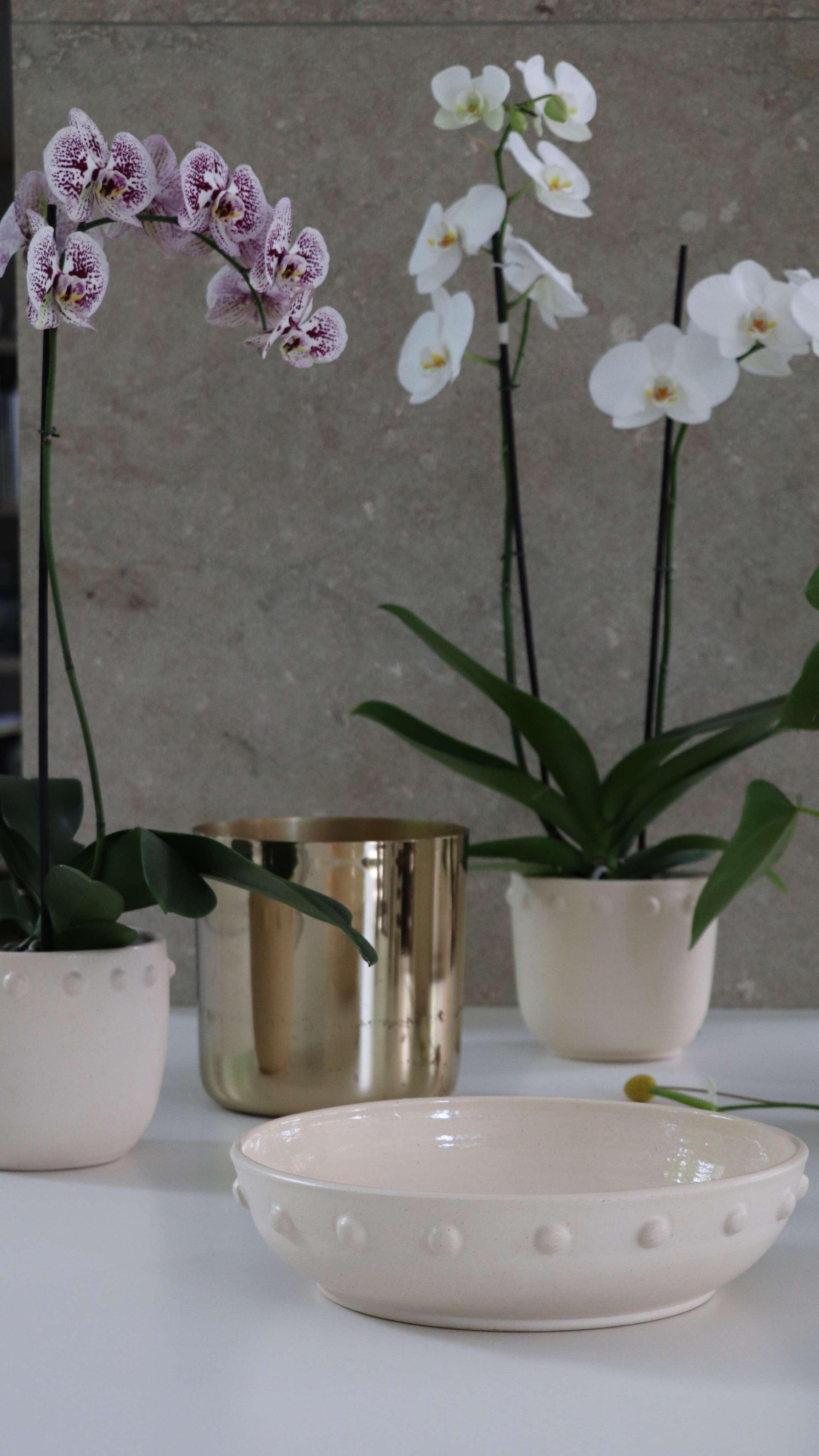 Arreglos de Orquídeas - Maduro's Tropical Flowers, image size:2251x4001