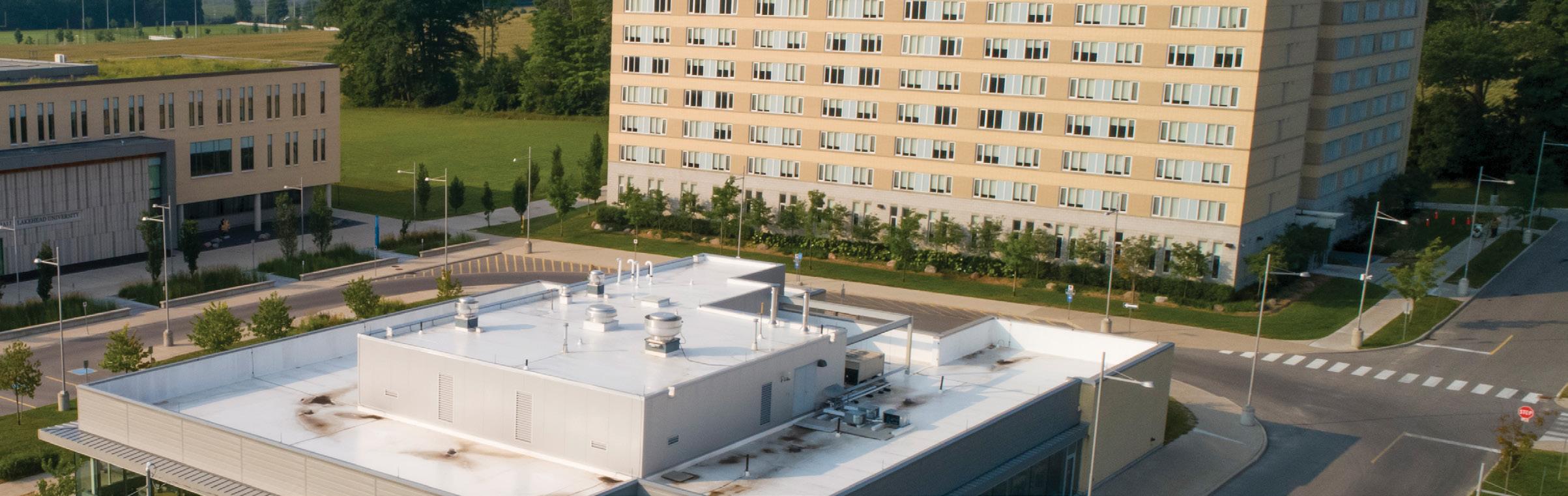 Social Work Brochure 2023 Lakehead University by Lakehead University