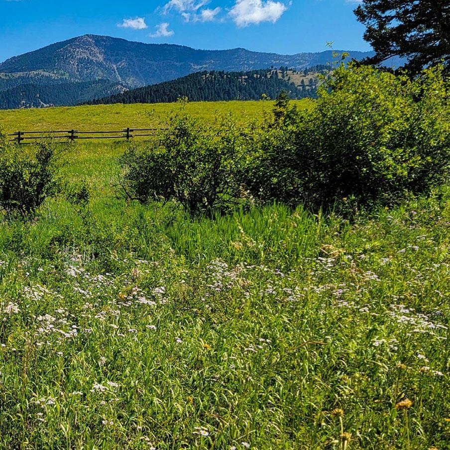 Windcall Ranch Fay Ranches by Fay Ranches Issuu