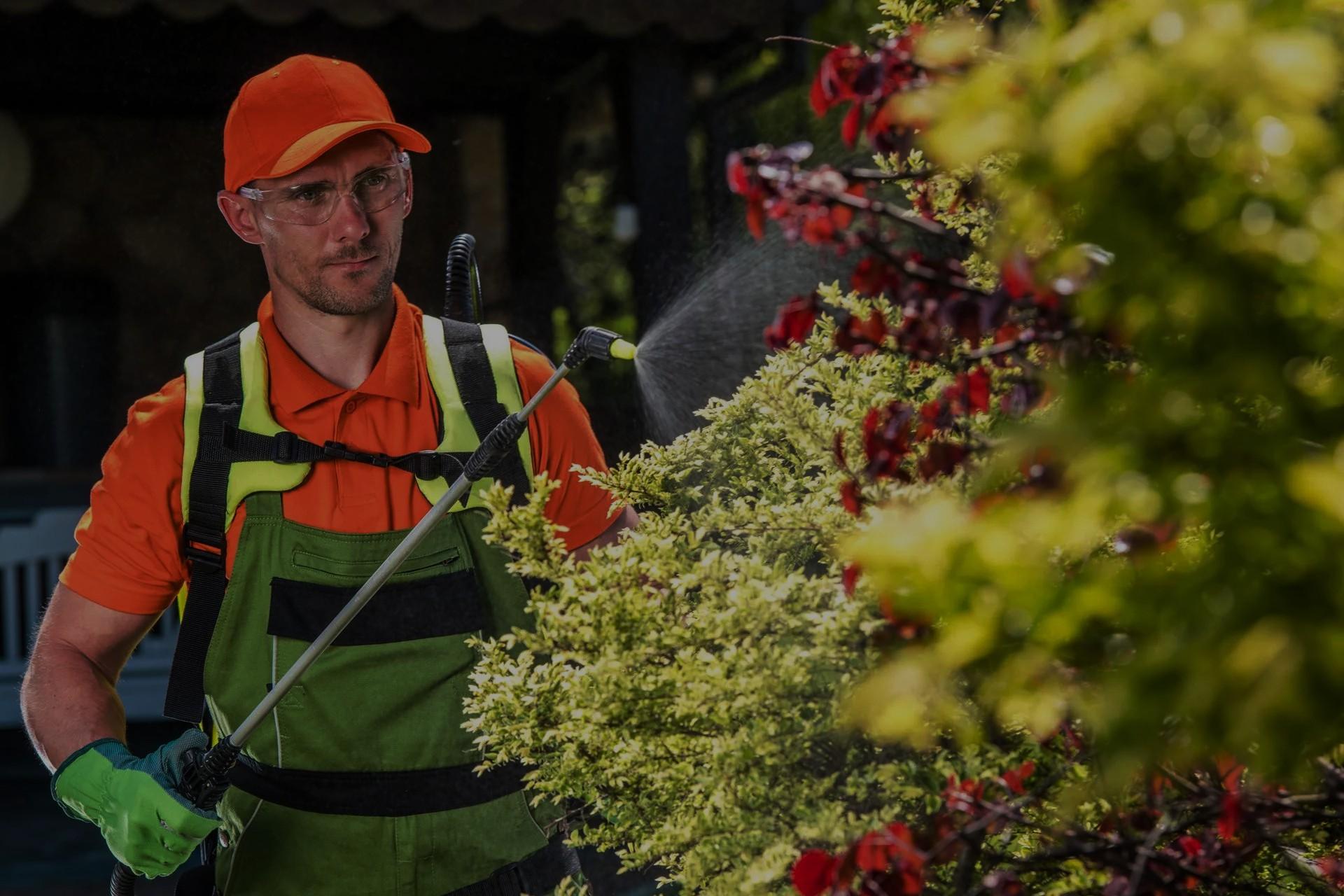 Why is Outdoor Pest Control essential? by Issuu