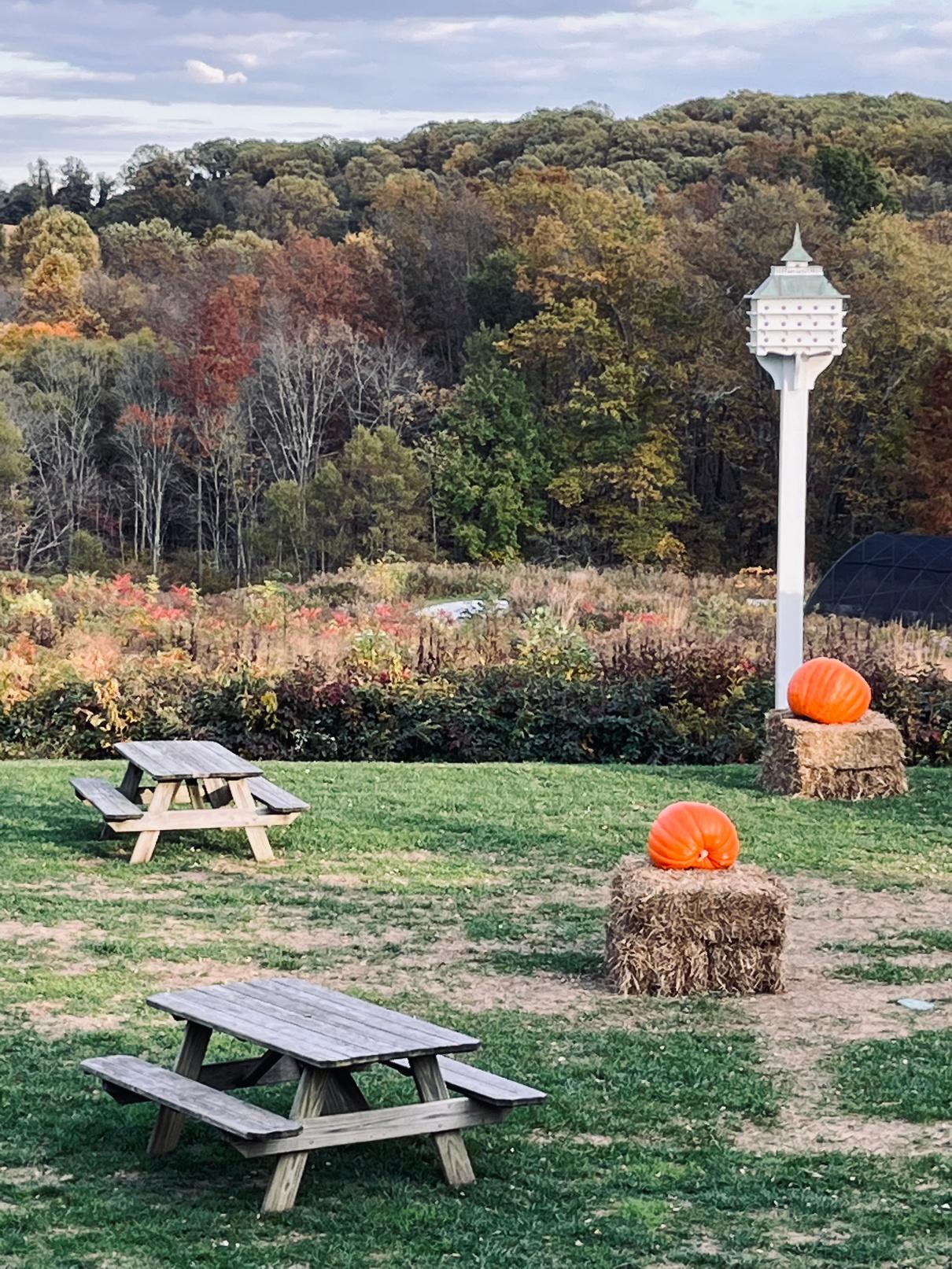 Ladew Garden Glow 2023 Info Package by 8 Boxwood Lane Creative Issuu Ladew Garden Glow 2023 Info Package by 8 Boxwood Lane Creative Issuu