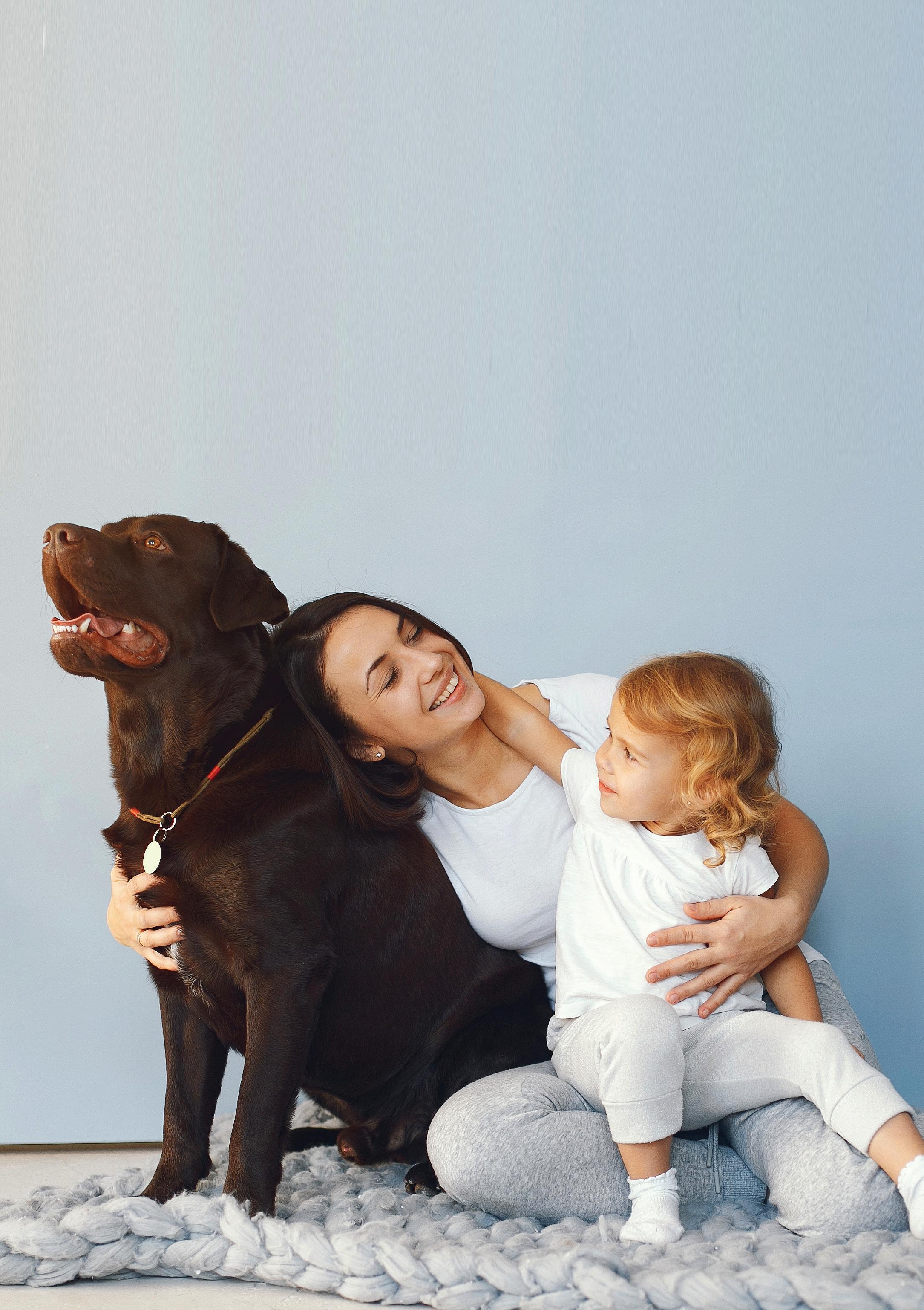 to Lily & Loaf 2023 QR CODES by Issuu