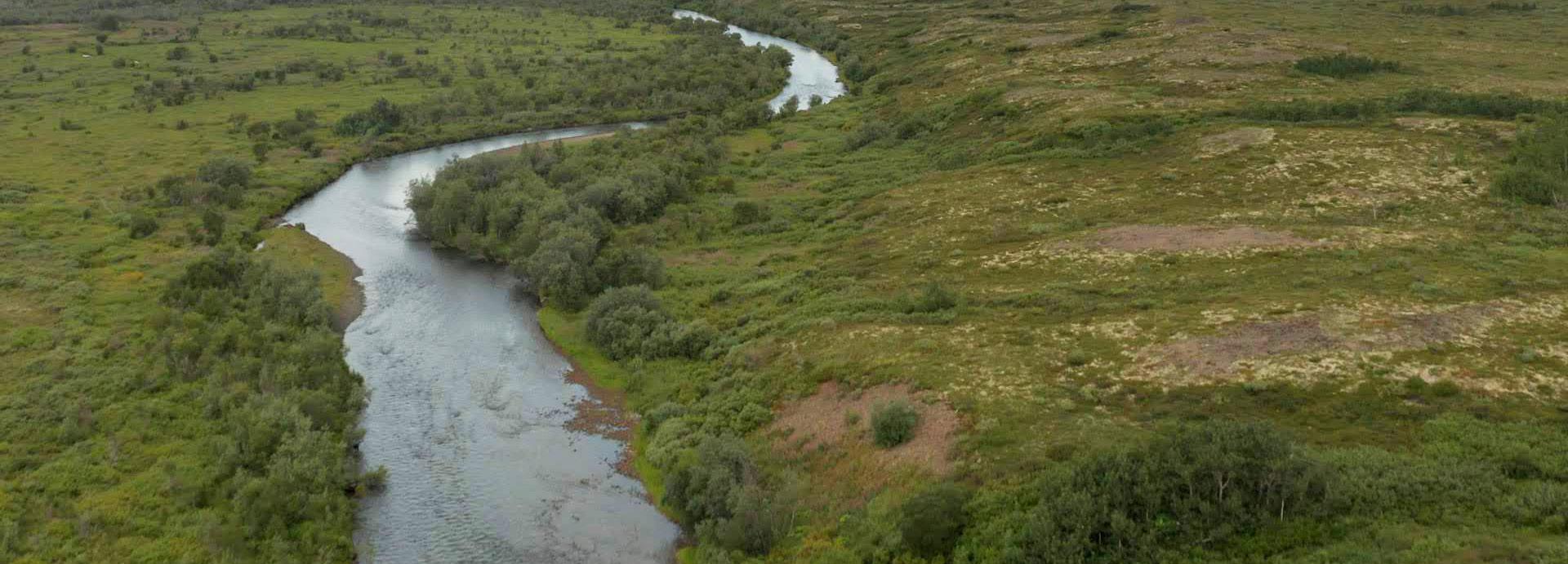Researchers find decaying biomass in Arctic rivers fuels more carbon export than previously thought