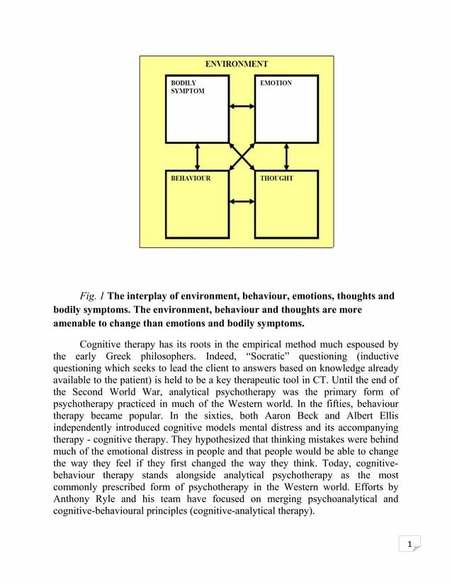Psychology Internship Report by Cierra Diaz Issuu
