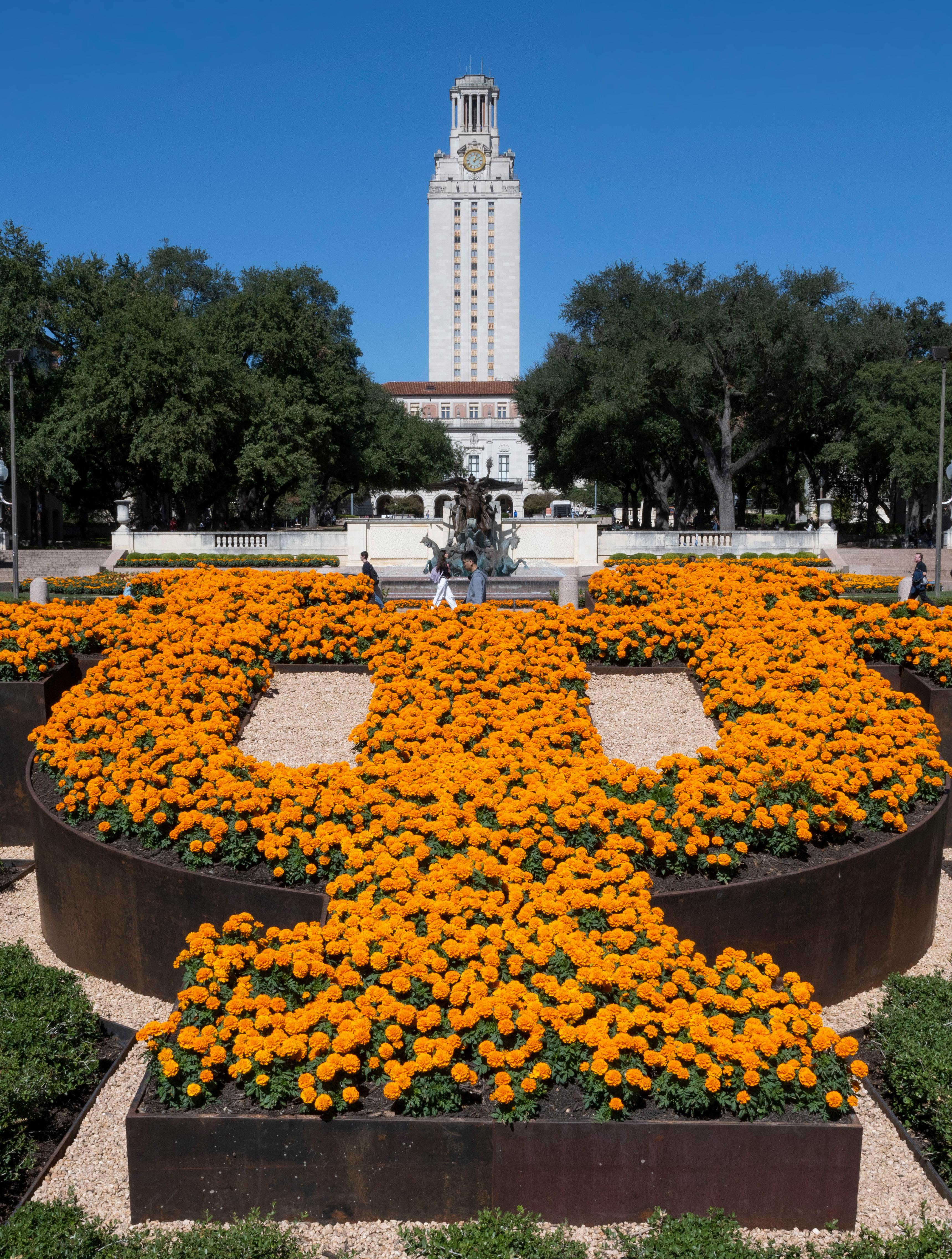 Giovanna moreno roman
