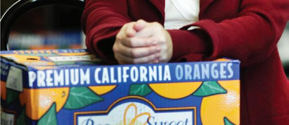 HONOREE: NOREEN SPRINGSTEAD