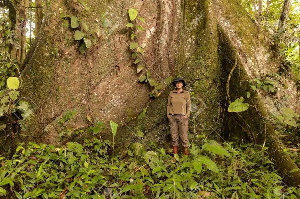 Bosque Latifoliado de Baja Elevación by Hellen Adriana Chinchilla