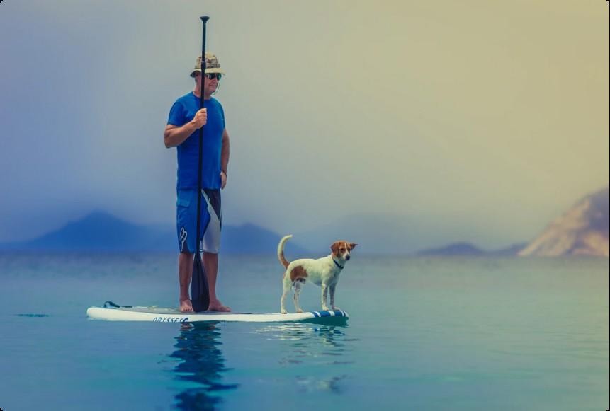 Excellent Paddle Boarding Newport Beach by harborsupusa Issuu