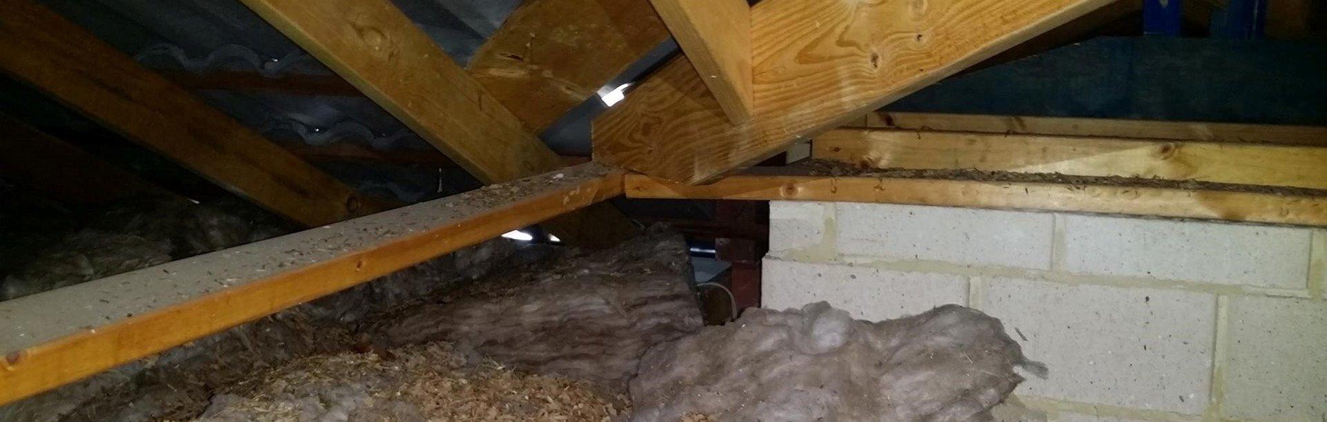 Roof Cavity Cleaning Adelaide by Cosywrap Insulation Solutions Issuu