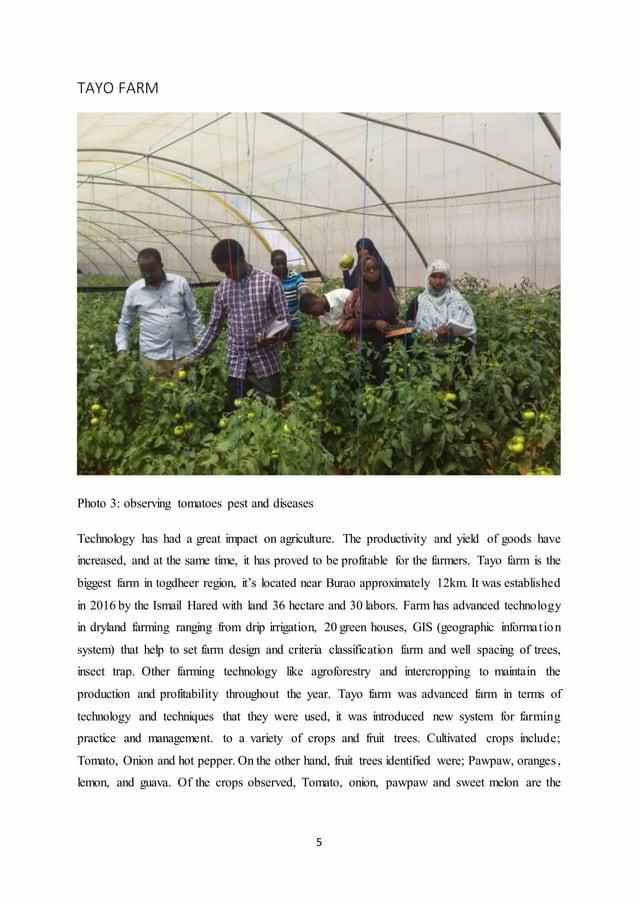 Agriculture Field Visit Report by voshirofboy1987 Issuu
