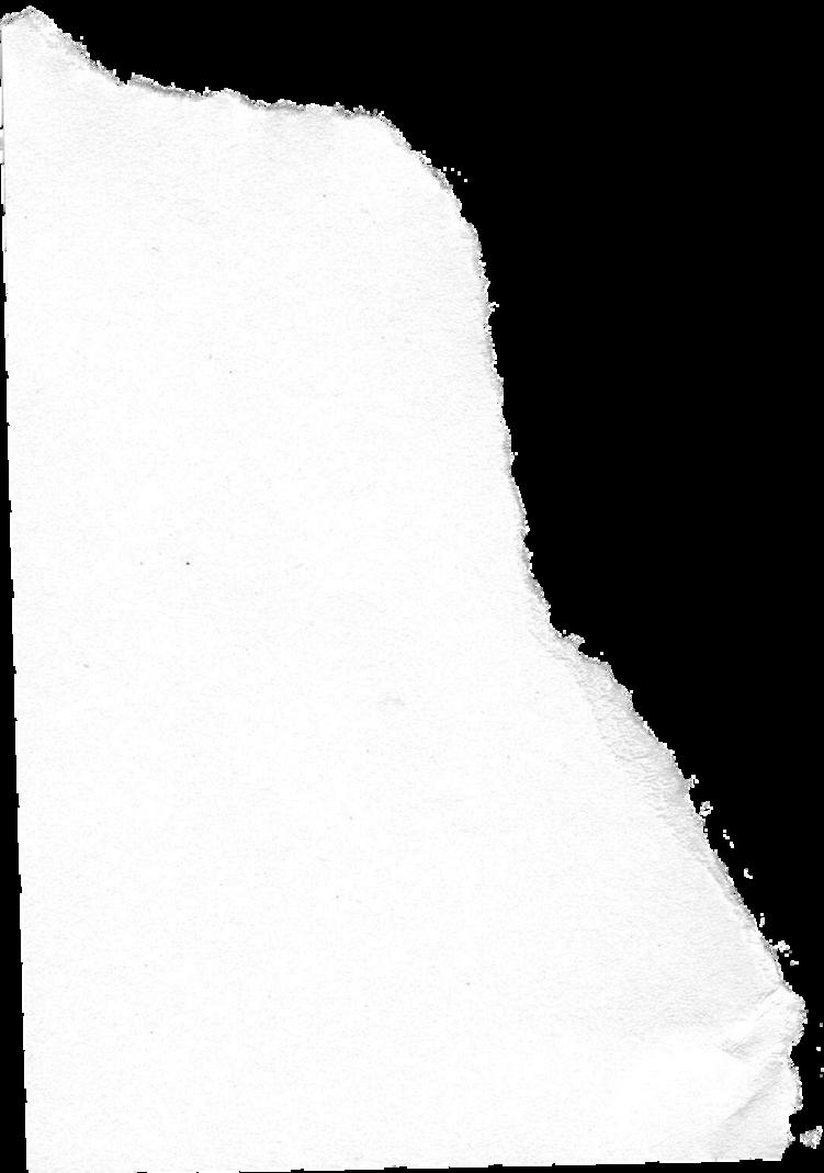 Learn Banjo Easily with the Best Beginner Banjo by McNeela Music Issuu