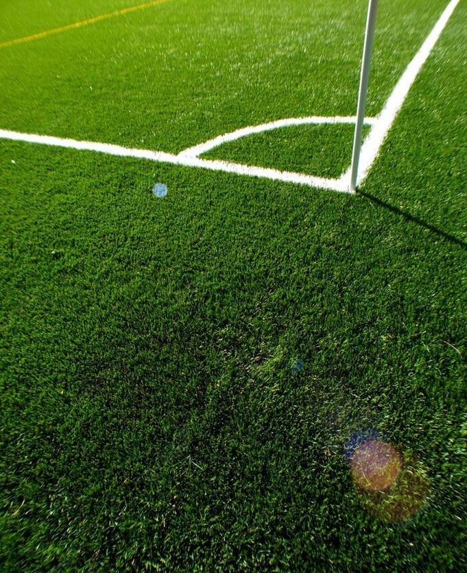 Assessing The Pros And Cons Of Artificial Turf by Lawn Care Services