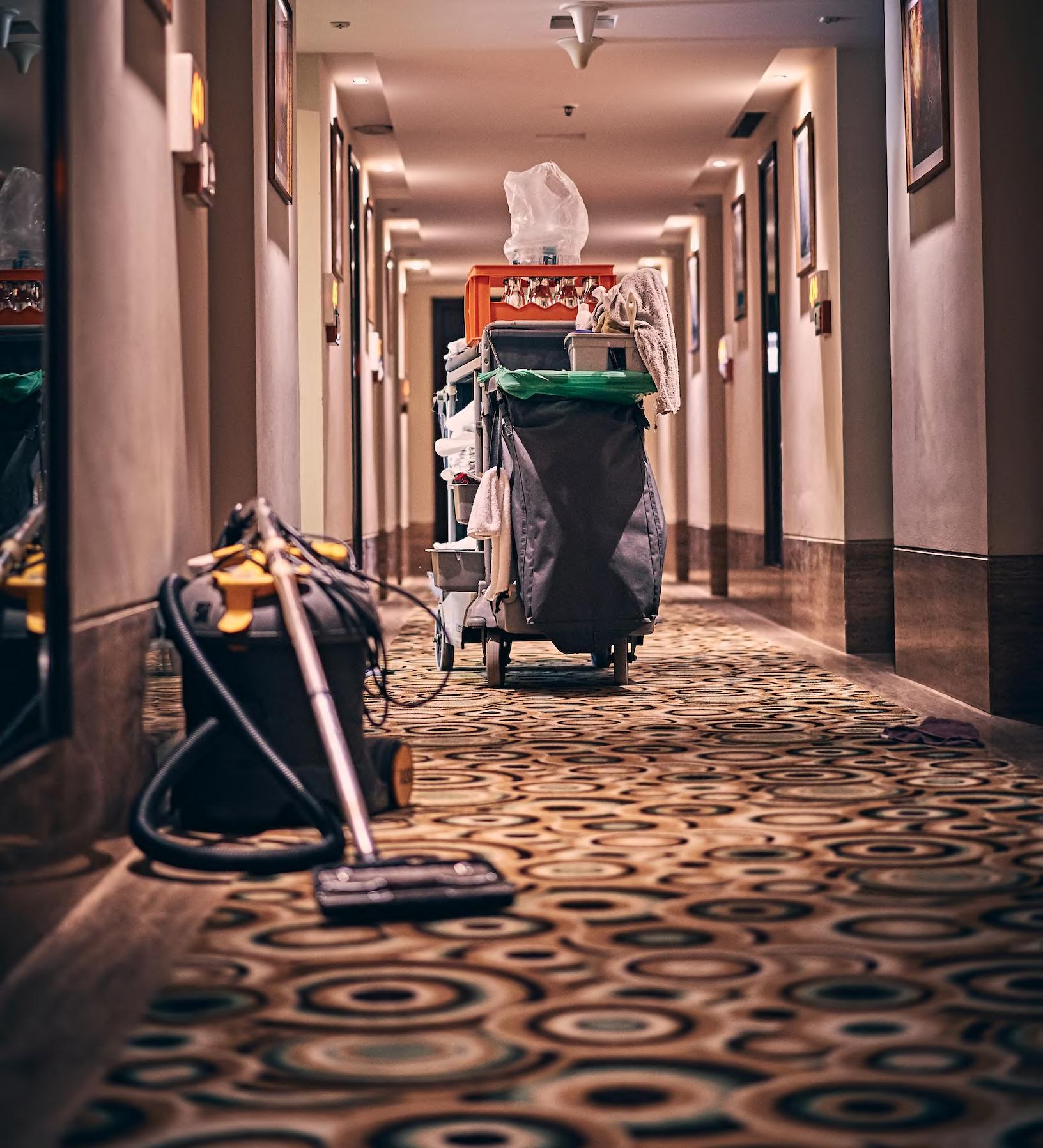 Commercial Carpet Cleaning Ottawa Industrial Carpet Cleaners by