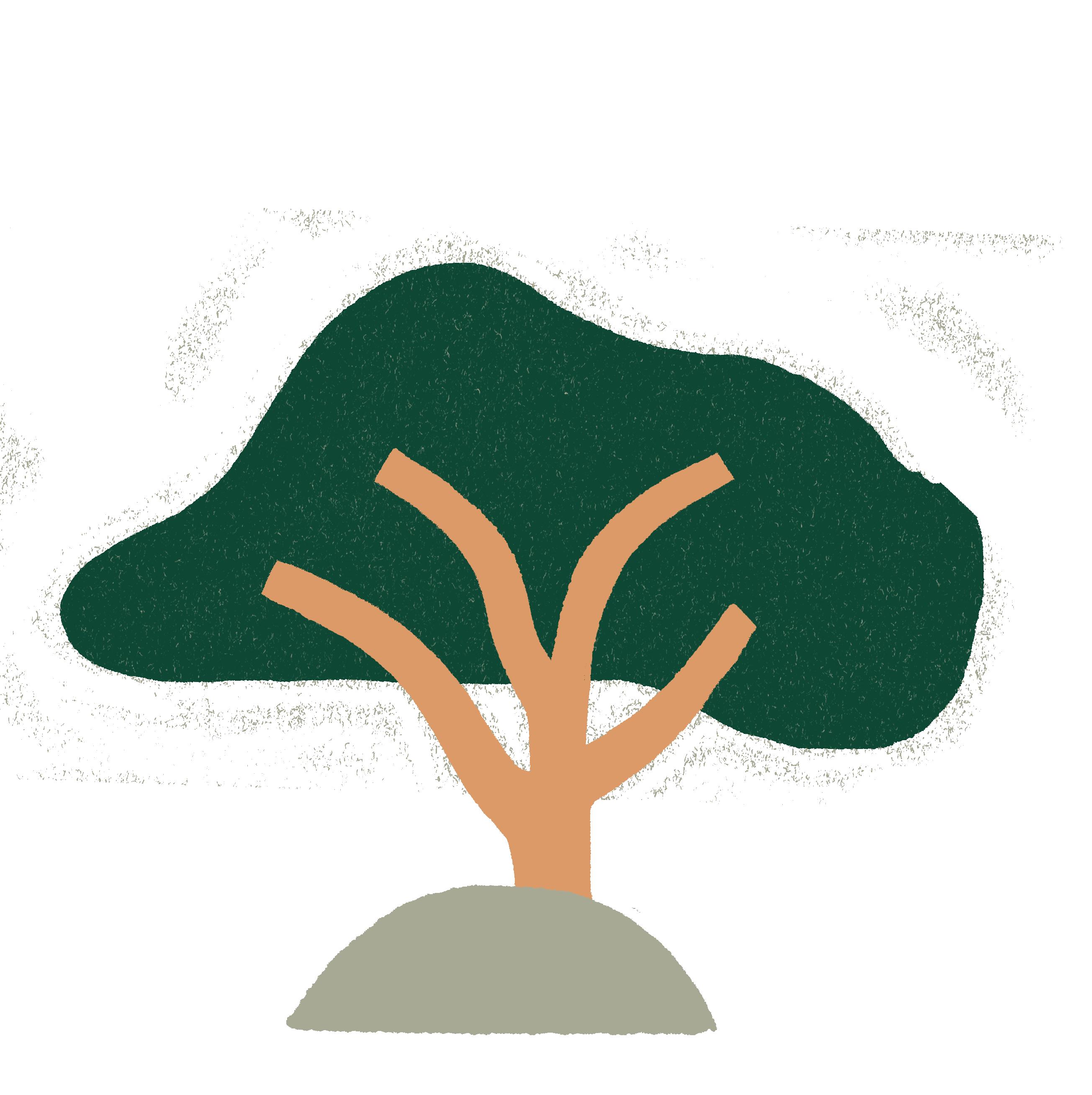 Weslyn Park New Resident Checklist, Sunbridge by Tavistock Development