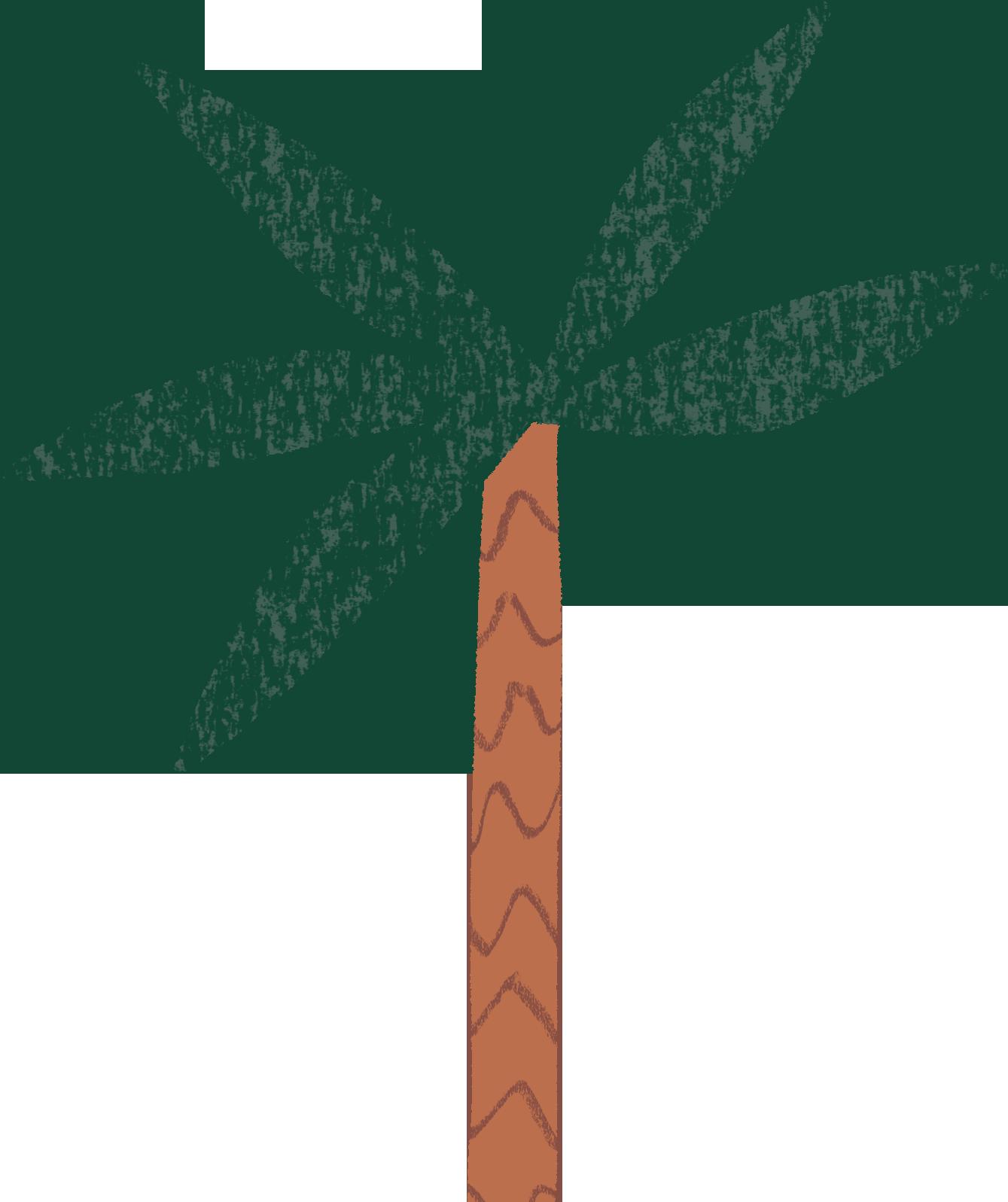 Weslyn Park New Resident Checklist, Sunbridge by Tavistock Development