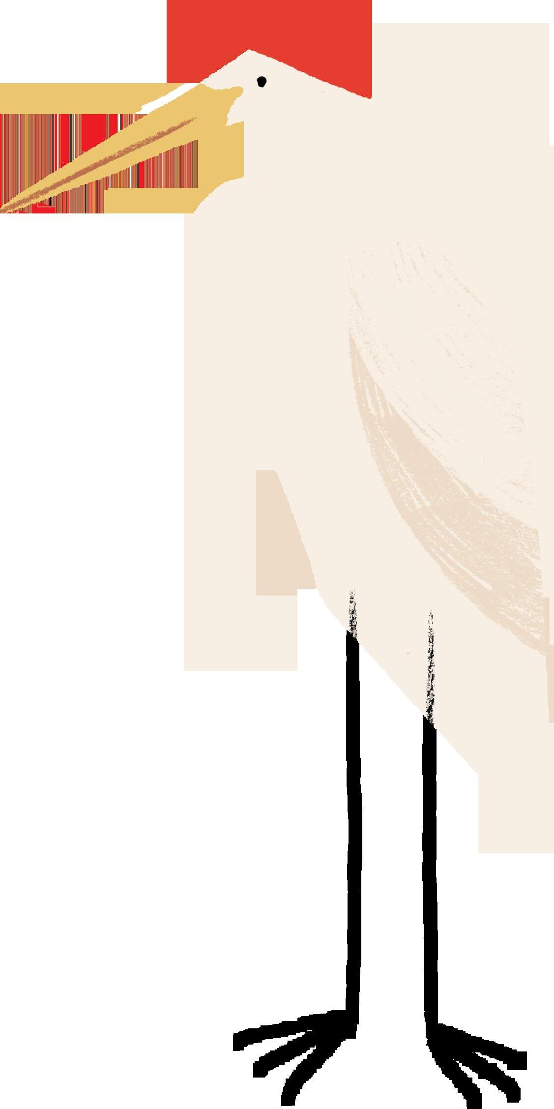 Weslyn Park New Resident Checklist, Sunbridge by Tavistock Development