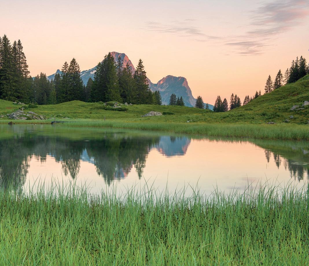 Urlaub am Bauernhof Katalog 2023 -2025 Vorarlberg by Urlaub am Bauernhof in Österreich - Issuu