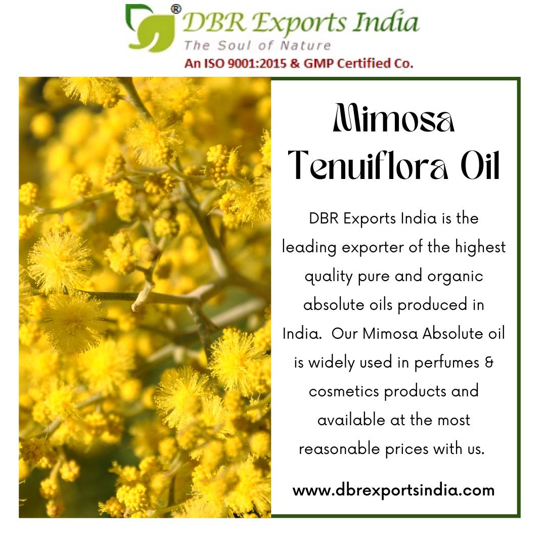 Mimosa Tenuiflora Oil DBR Exports India by DBRExports_India Issuu