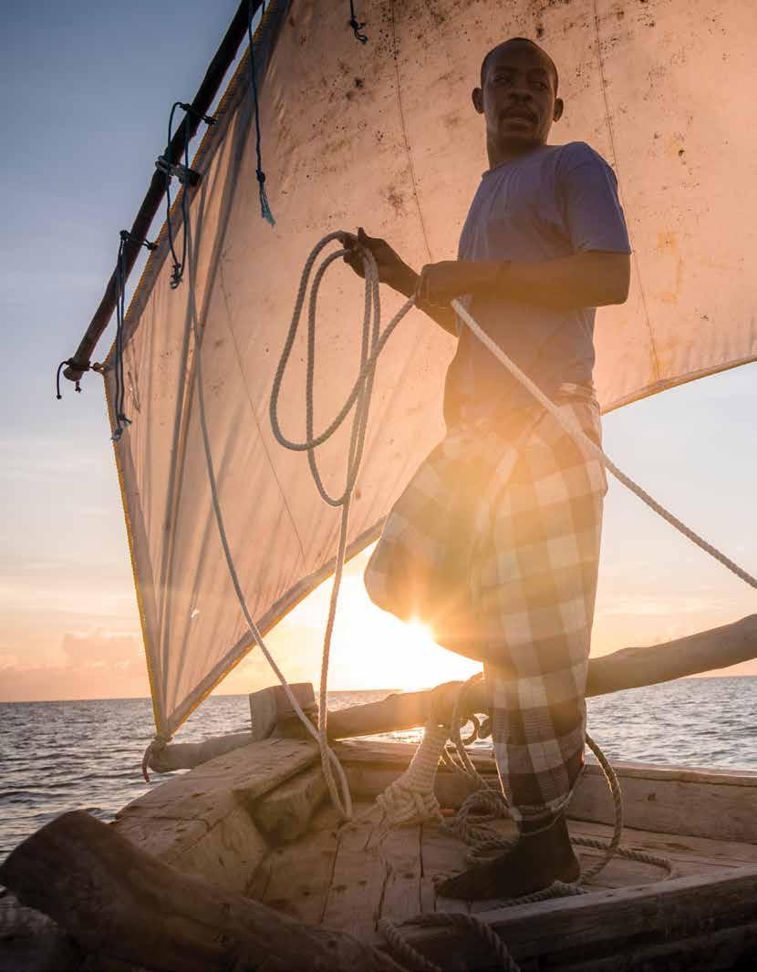 Cover for A Hope Spot