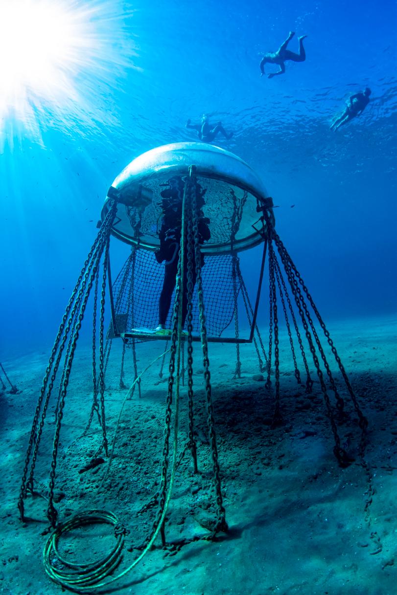 Cover for IN THIS ISSUE