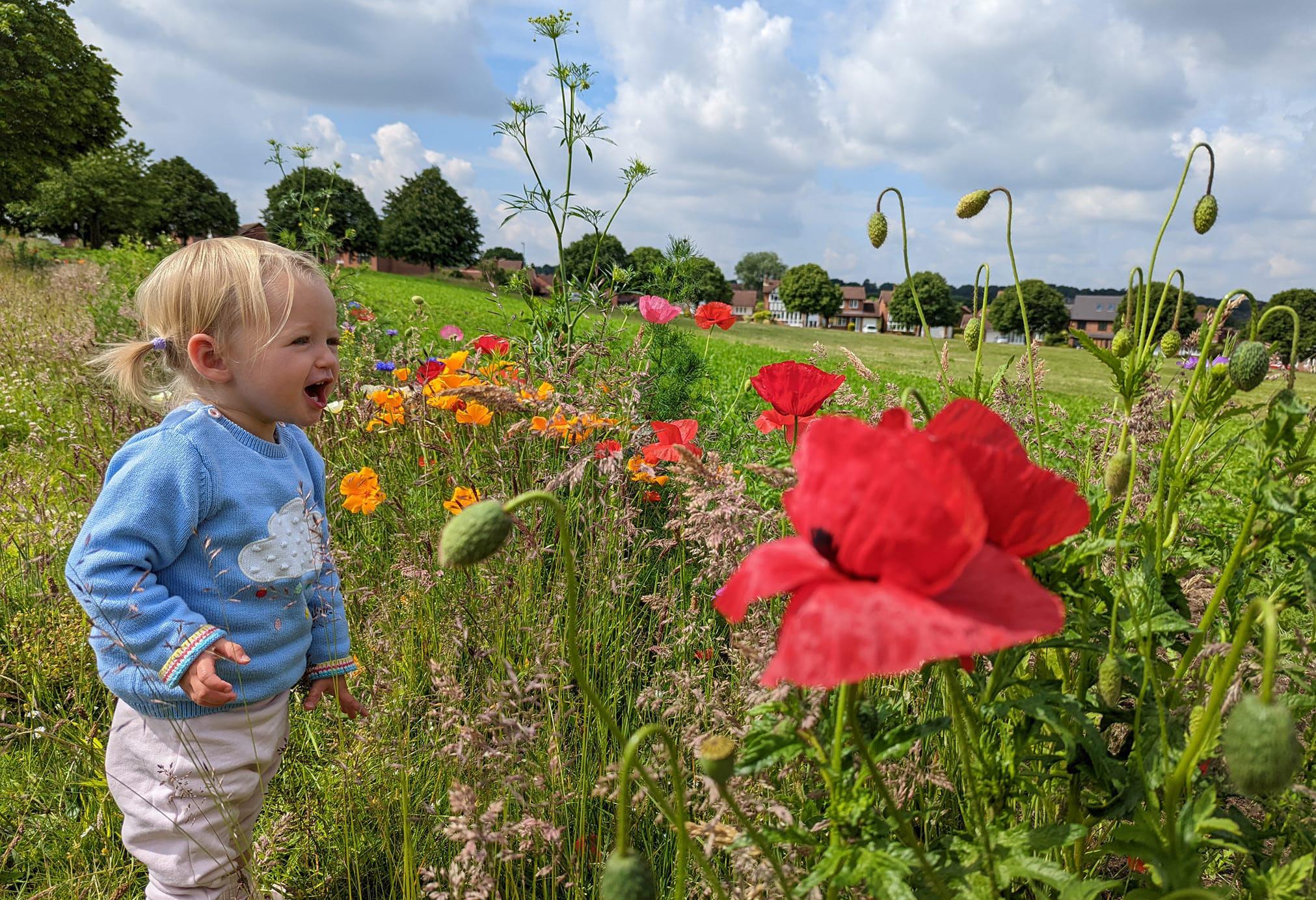 STC Annual Report 2023 ONLINE single by mainstreamprintltd Issuu