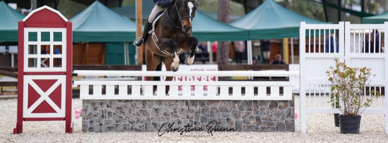 Cover for OUTREACH SECTIONS