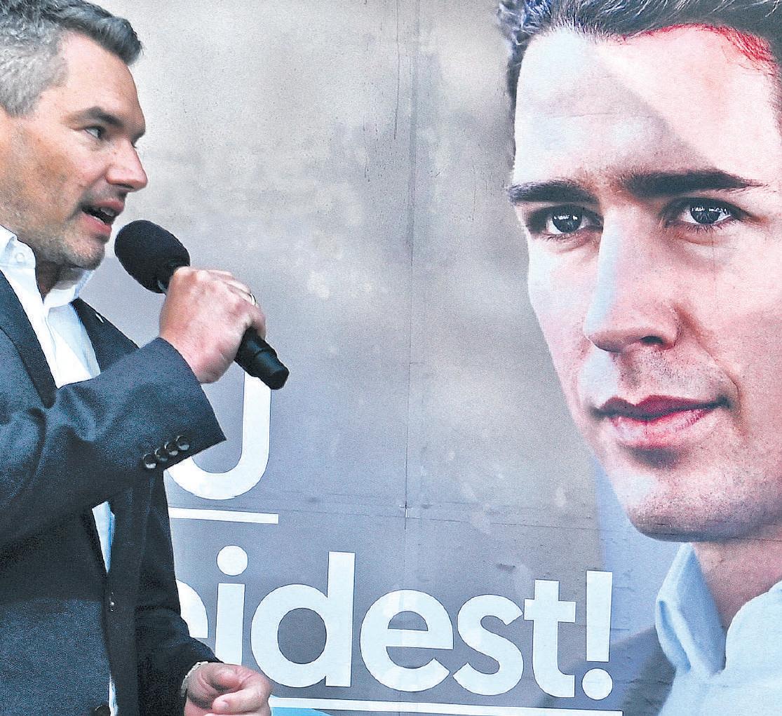 Adopting Stella the dog with a glow up, image size:1115x1021