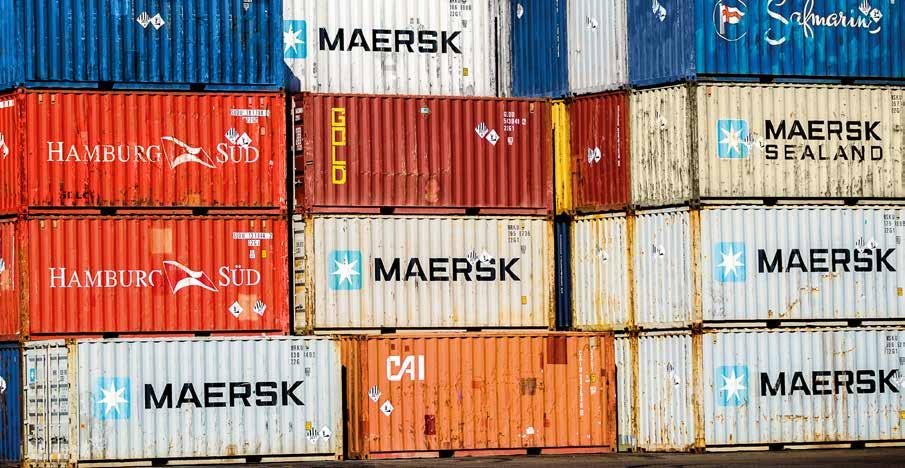 Cover for Portal de Serviços para o Investidor: Facilitando a geração de negócios