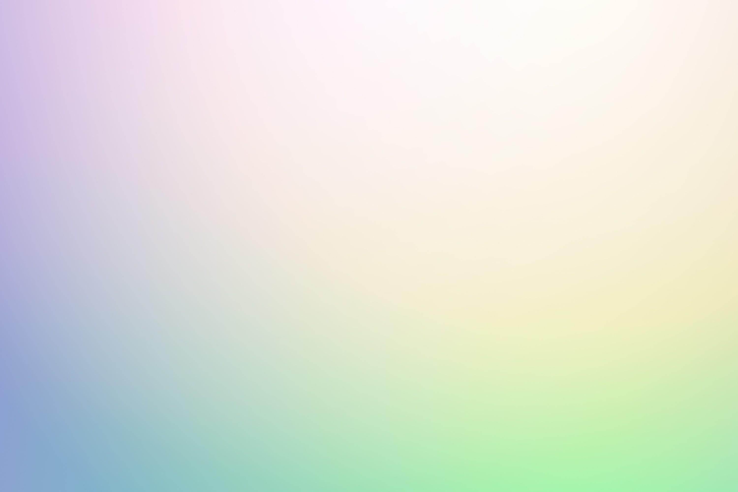 Comprehensive Guide to KLM Airlines Pet Policy Call +18888260067