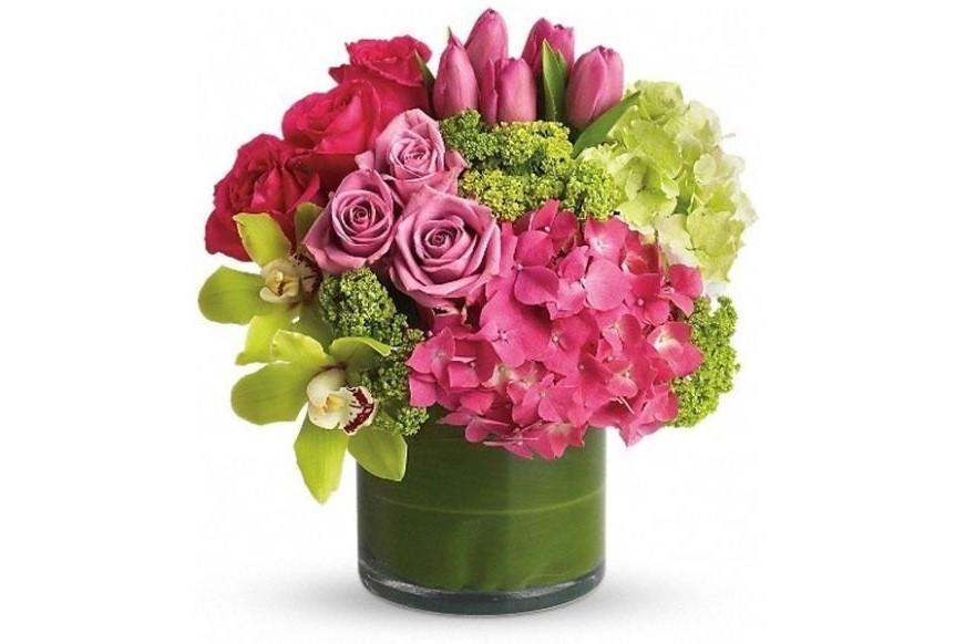 Online Fresh Flowers Gifts Delivery, by Issuu