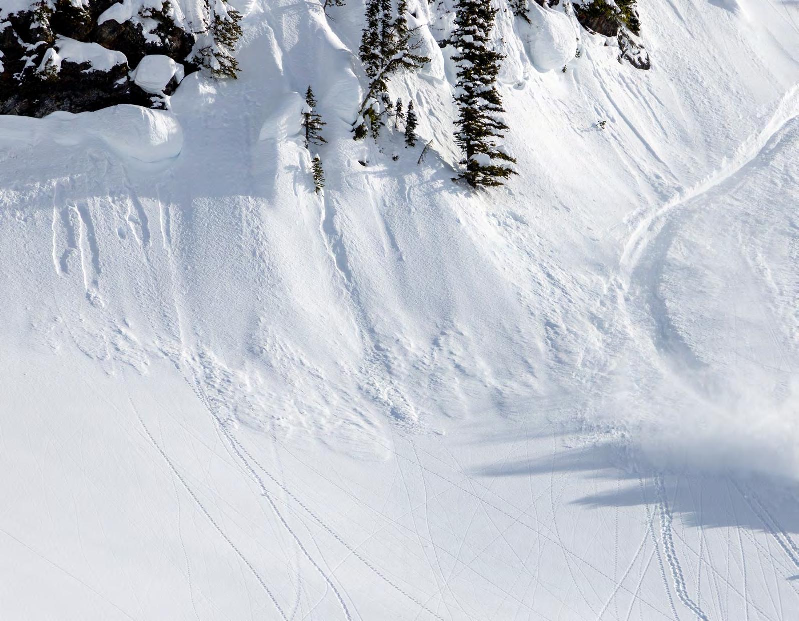 MSD Winter 20232024 Catalogue Canada by Mountain Sports Distribution