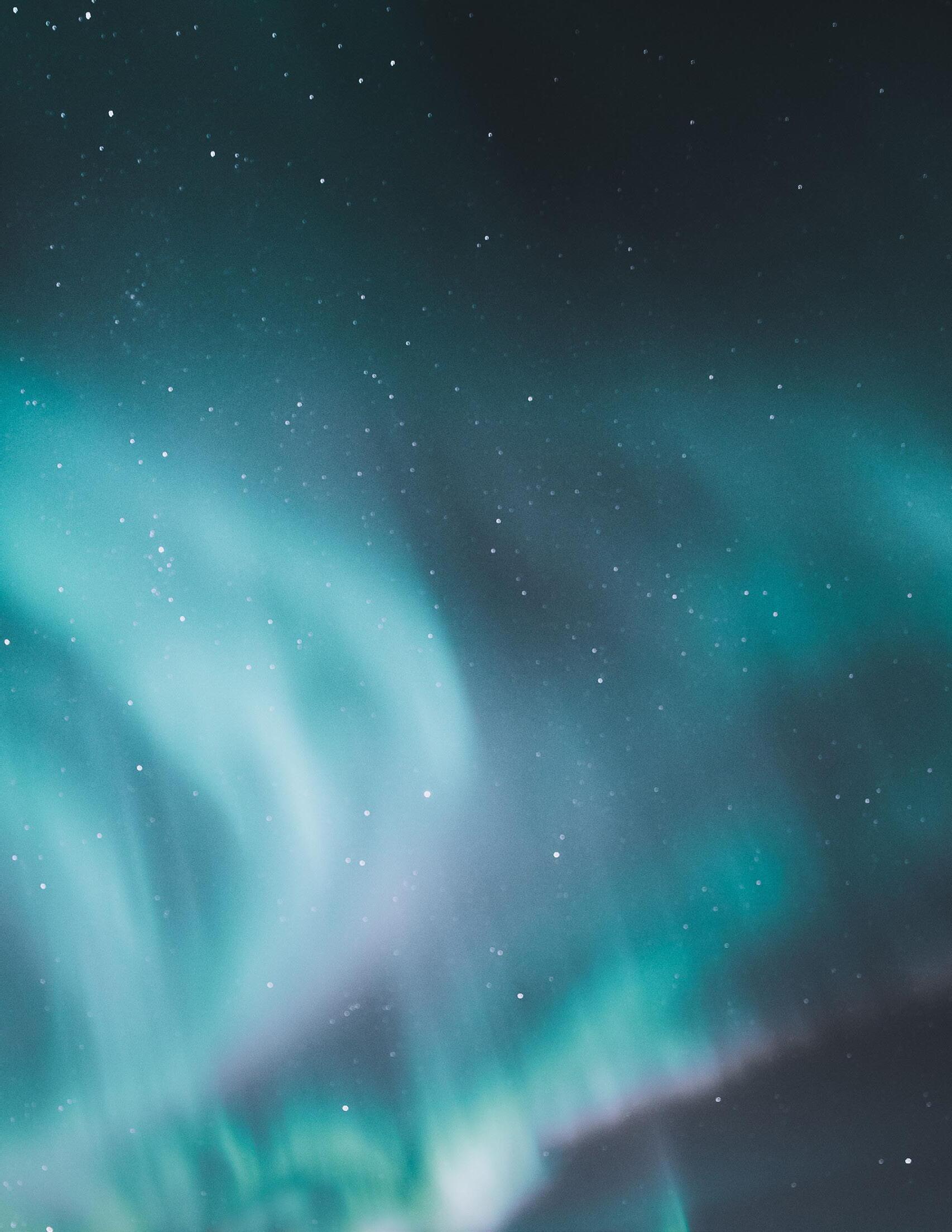 Nordic Kultur 2019 by National Nordic Museum Issuu