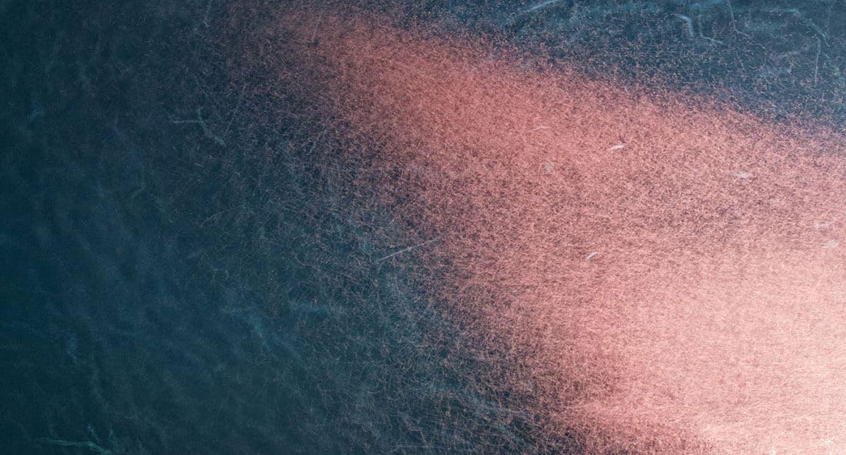 Krill Oil Plus Offer For Weight Loss by Antonio santos Issuu