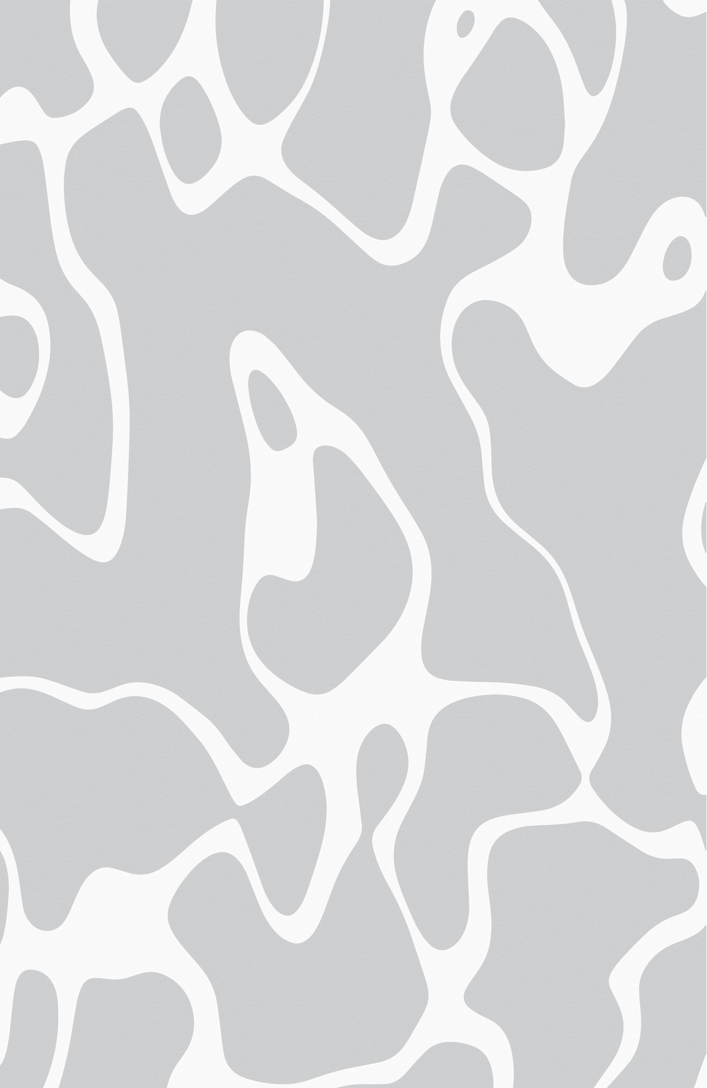 Whitefish Chain of Lakes map Crow Wing County by Brainerd Dispatch