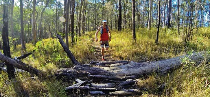 Cover for CHALLENGING GOLD COAST BUSHWALKS FOR ADRENALINE JUNKIES